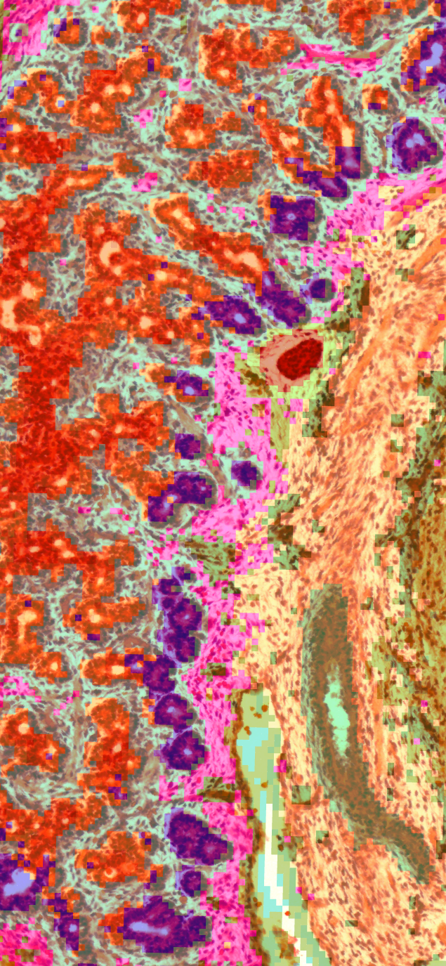 Omics